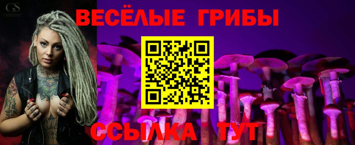 Псилоцибиновые грибы мухоморы Ревда